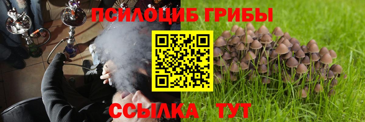 Малгобек  Галлюциногенные грибы прущие грибы  Псилоцибиновые грибы GOLDEN TEACHER  Вход с VPN 